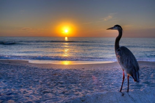Captiva Island Captiva Island